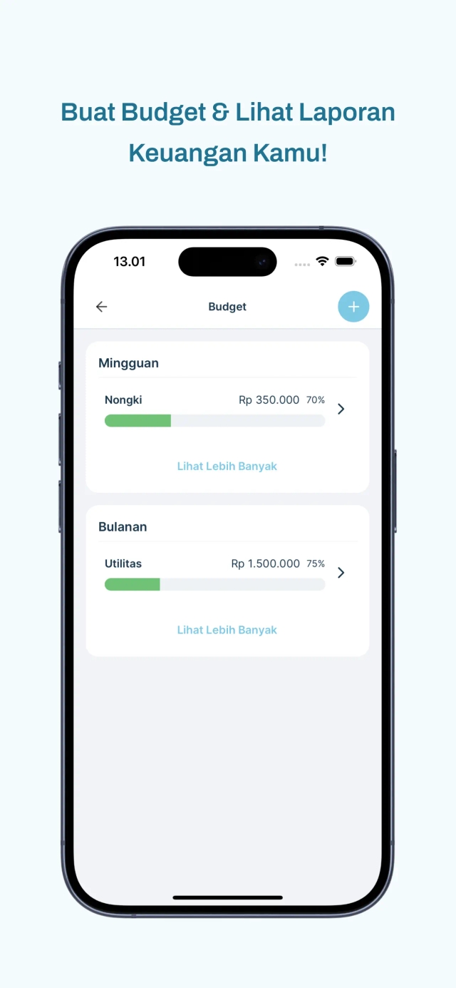 Saving Diary App Budget Preview