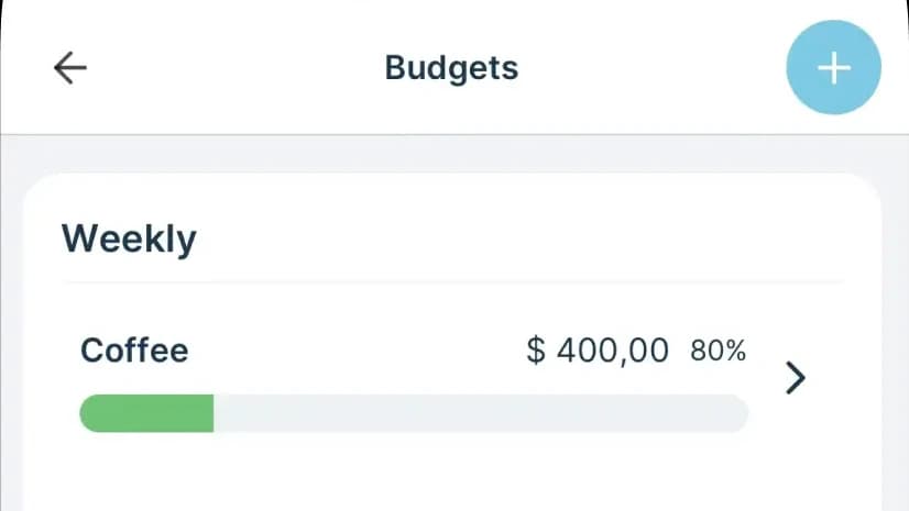 A budget screen with progress bars for each category